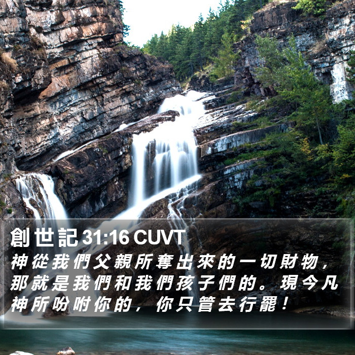 創 世 記 31:16 CUVT Bible Study