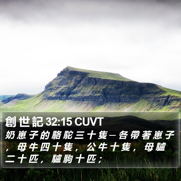 創 世 記 32:15 CUVT Bible Study