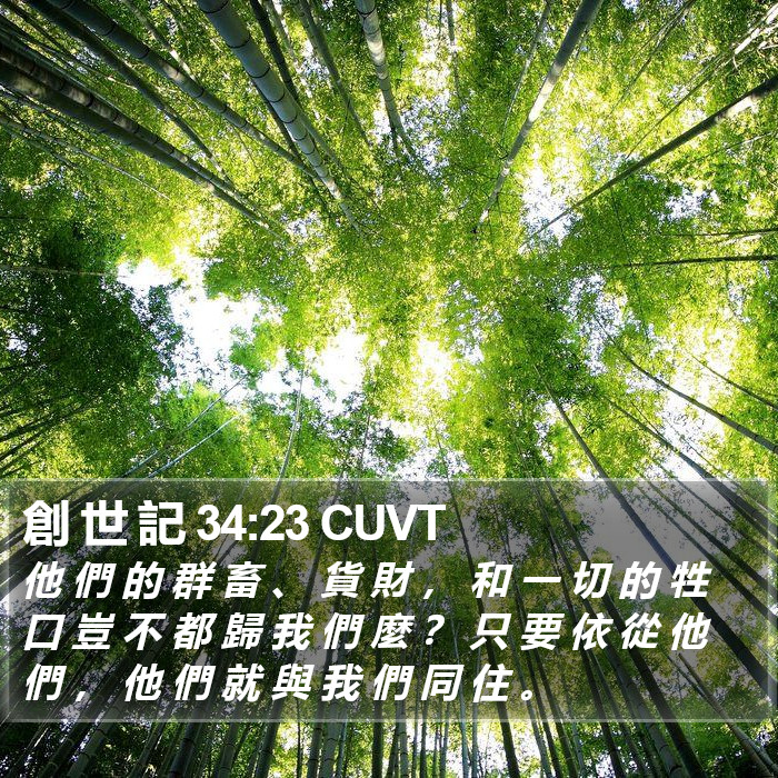 創 世 記 34:23 CUVT Bible Study