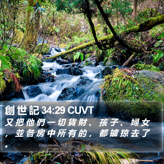 創 世 記 34:29 CUVT Bible Study