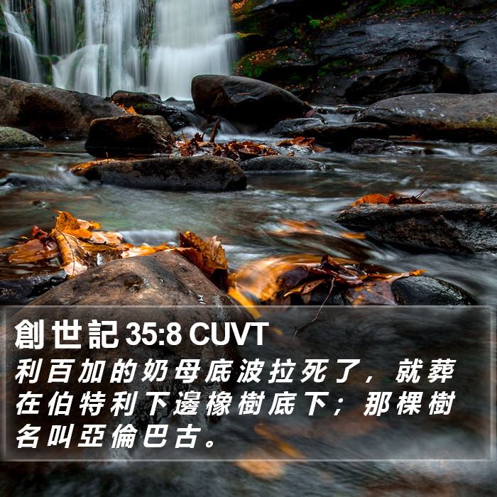 創 世 記 35:8 CUVT Bible Study