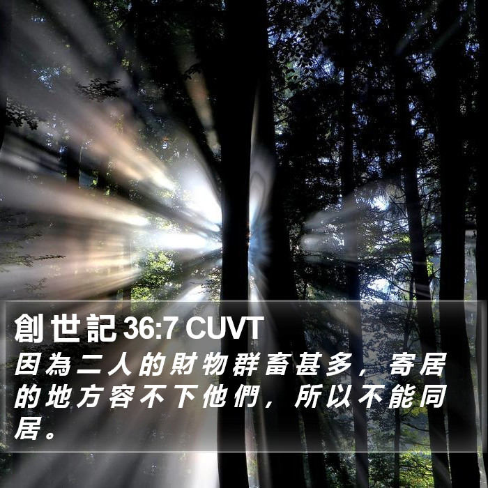 創 世 記 36:7 CUVT Bible Study