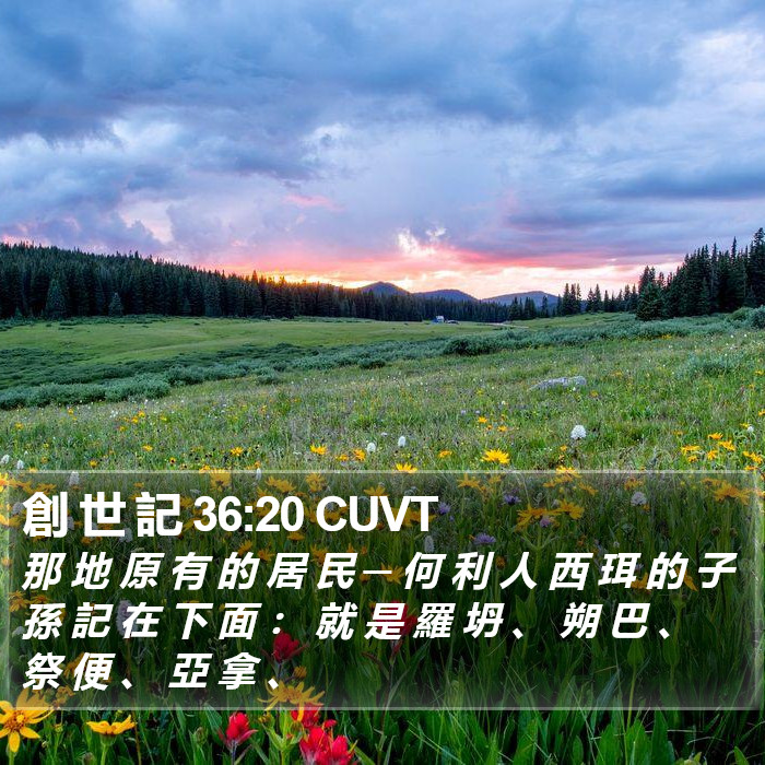 創 世 記 36:20 CUVT Bible Study