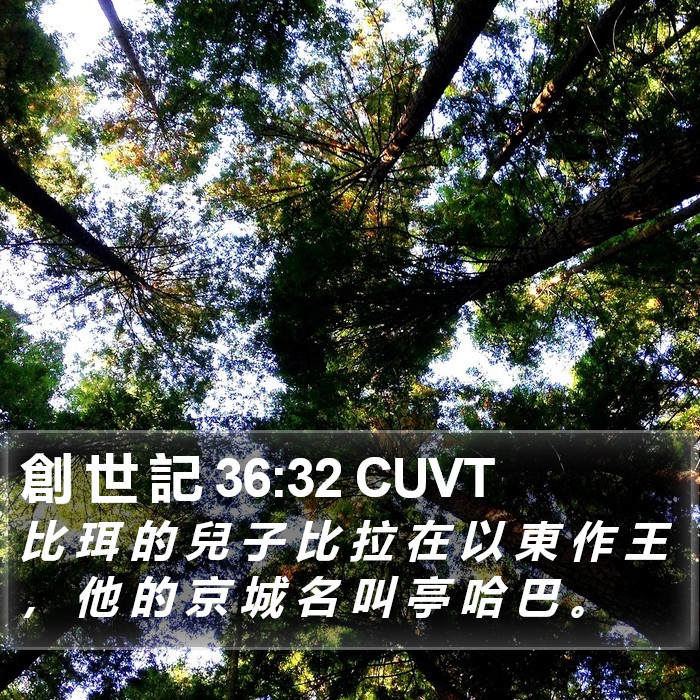創 世 記 36:32 CUVT Bible Study