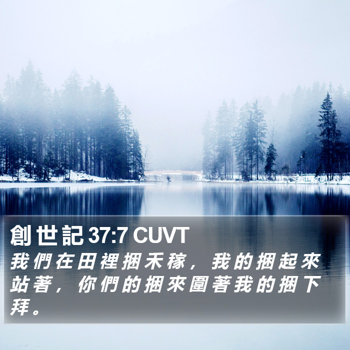 創 世 記 37:7 CUVT Bible Study