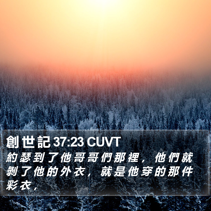 創 世 記 37:23 CUVT Bible Study