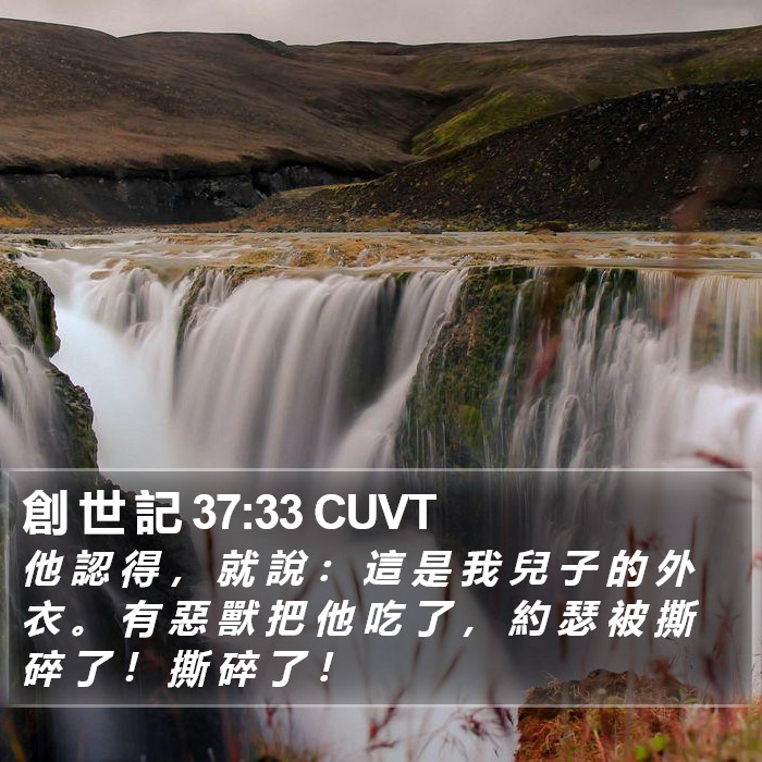 創 世 記 37:33 CUVT Bible Study