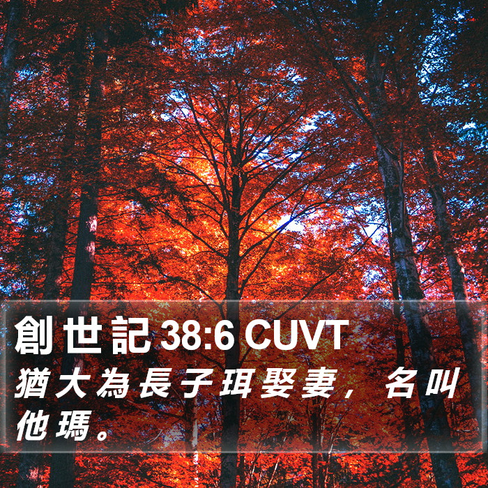 創 世 記 38:6 CUVT Bible Study