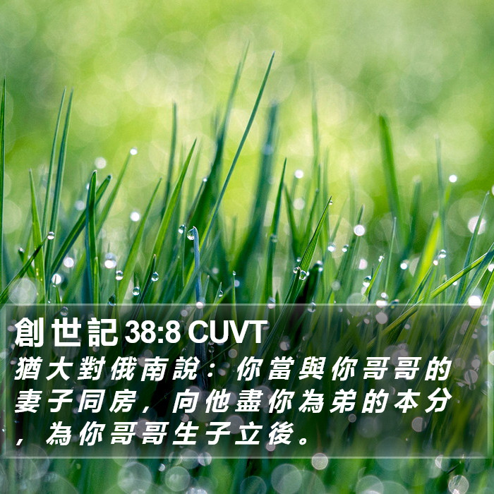 創 世 記 38:8 CUVT Bible Study