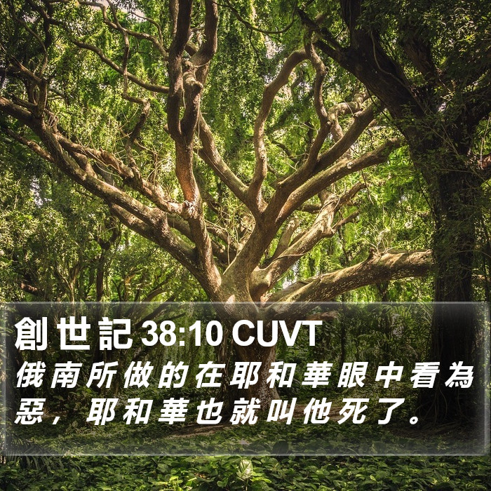 創 世 記 38:10 CUVT Bible Study