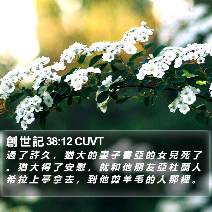 創 世 記 38:12 CUVT Bible Study