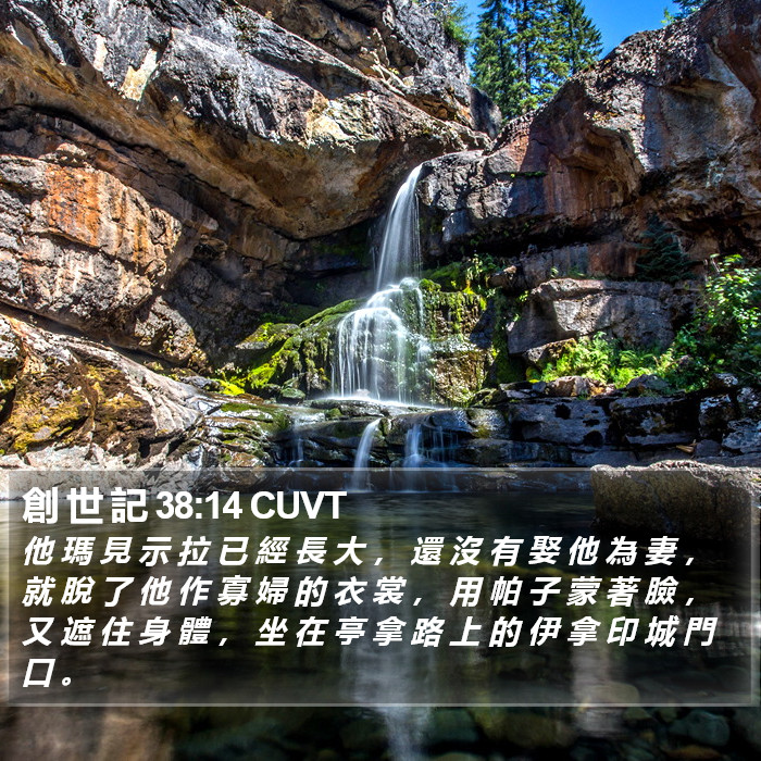 創 世 記 38:14 CUVT Bible Study