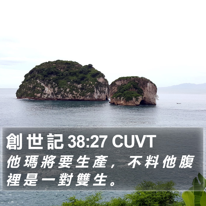 創 世 記 38:27 CUVT Bible Study