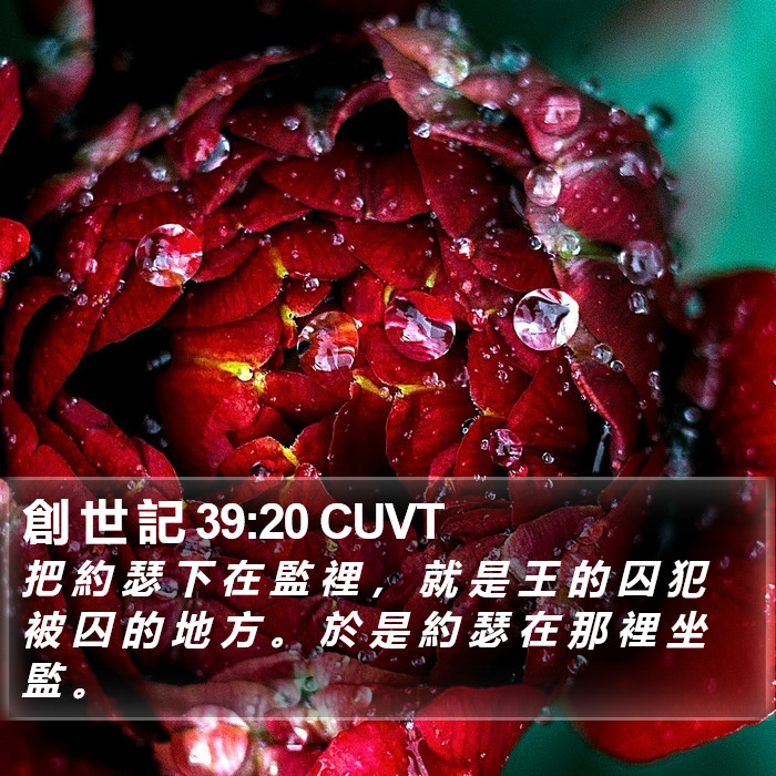 創 世 記 39:20 CUVT Bible Study