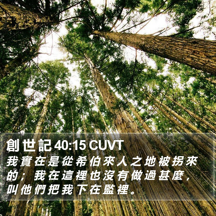 創 世 記 40:15 CUVT Bible Study