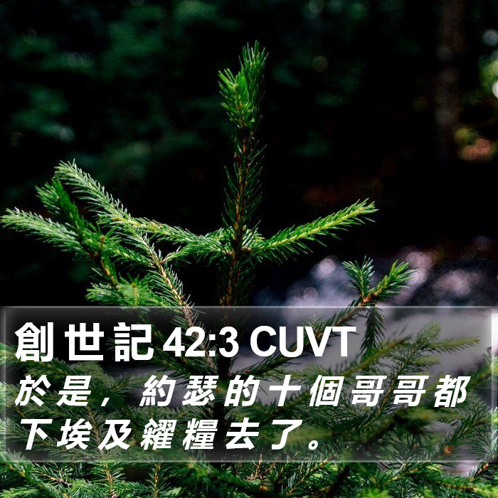 創 世 記 42:3 CUVT Bible Study