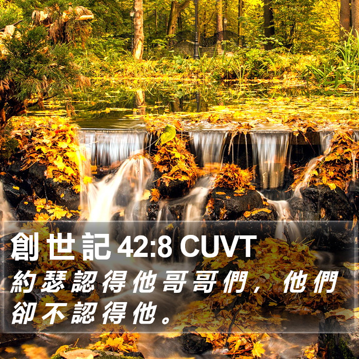 創 世 記 42:8 CUVT Bible Study