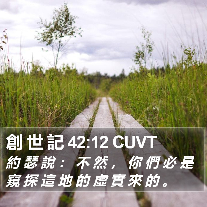 創 世 記 42:12 CUVT Bible Study