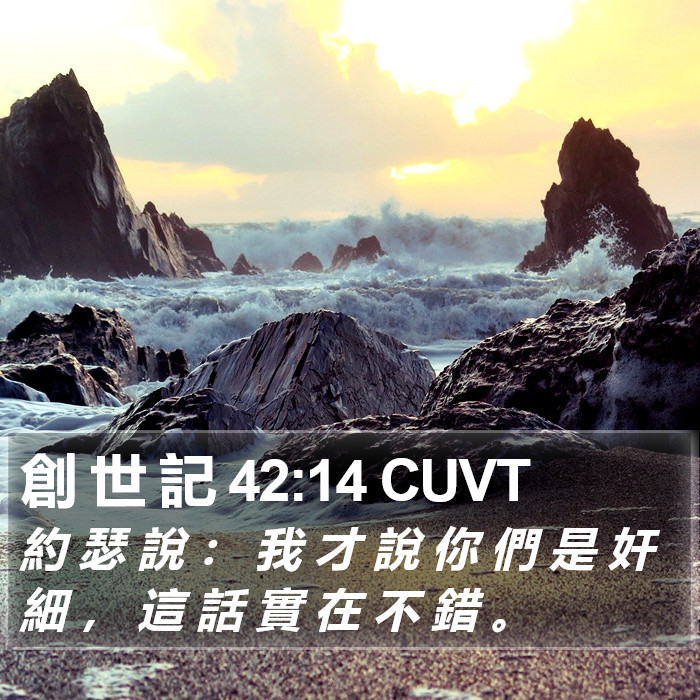 創 世 記 42:14 CUVT Bible Study