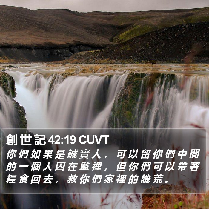 創 世 記 42:19 CUVT Bible Study