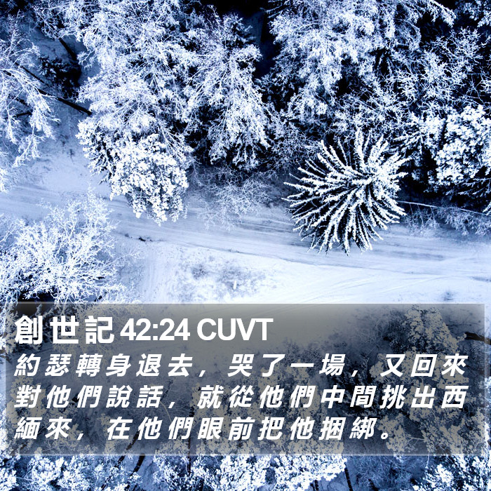 創 世 記 42:24 CUVT Bible Study