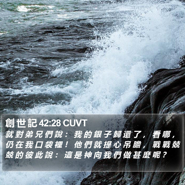 創 世 記 42:28 CUVT Bible Study