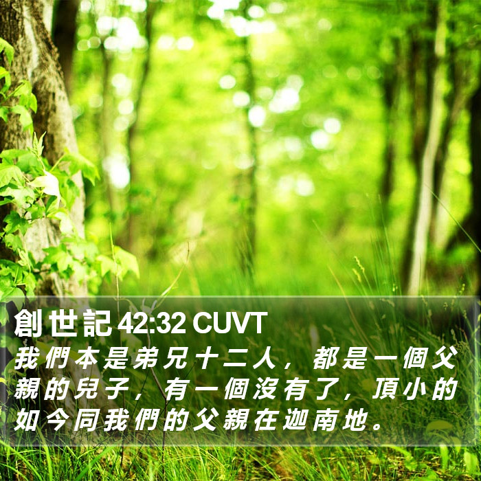 創 世 記 42:32 CUVT Bible Study