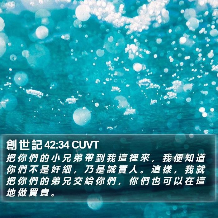 創 世 記 42:34 CUVT Bible Study