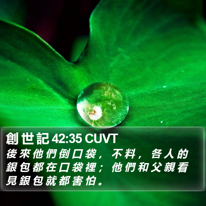 創 世 記 42:35 CUVT Bible Study