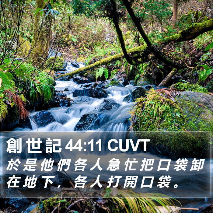 創 世 記 44:11 CUVT Bible Study