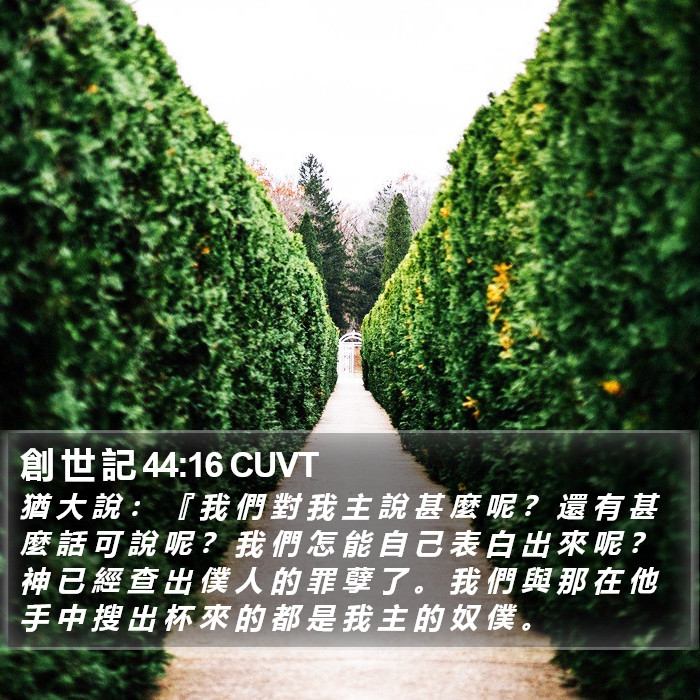 創 世 記 44:16 CUVT Bible Study