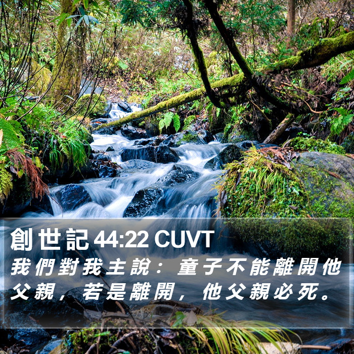 創 世 記 44:22 CUVT Bible Study