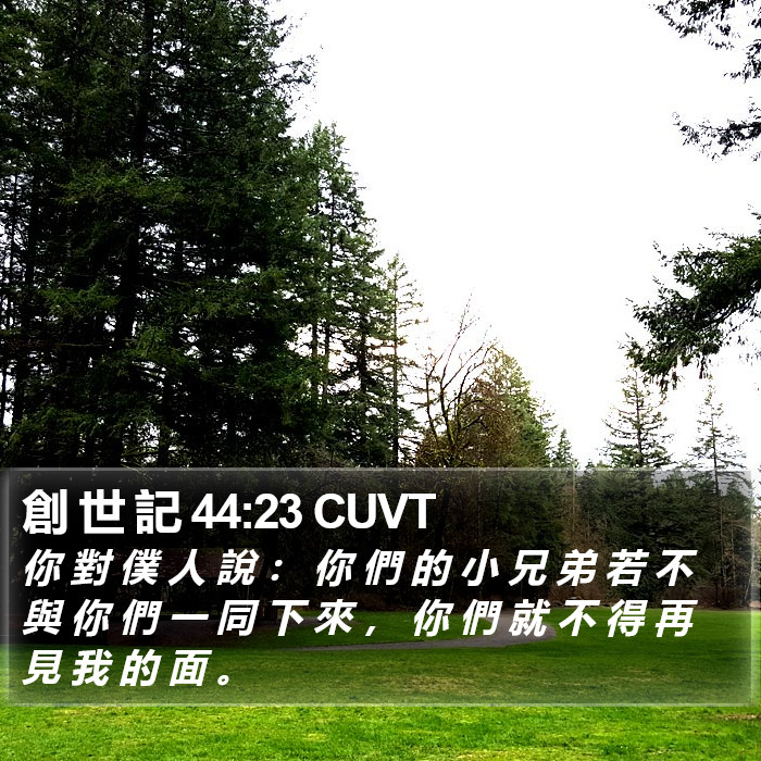 創 世 記 44:23 CUVT Bible Study