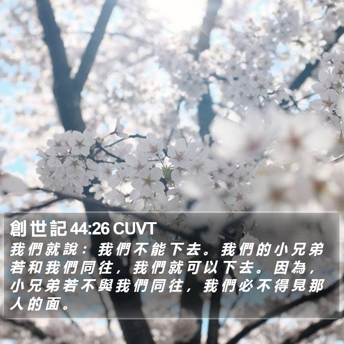 創 世 記 44:26 CUVT Bible Study