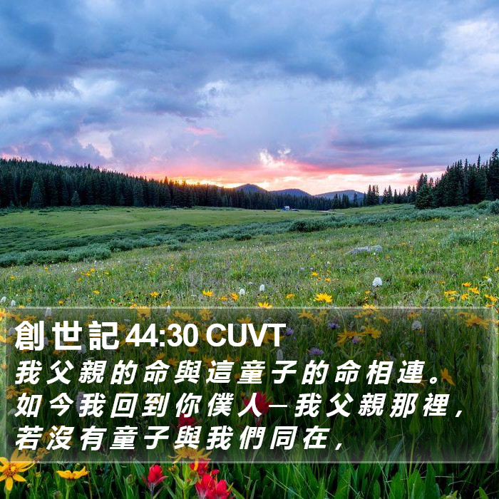 創 世 記 44:30 CUVT Bible Study