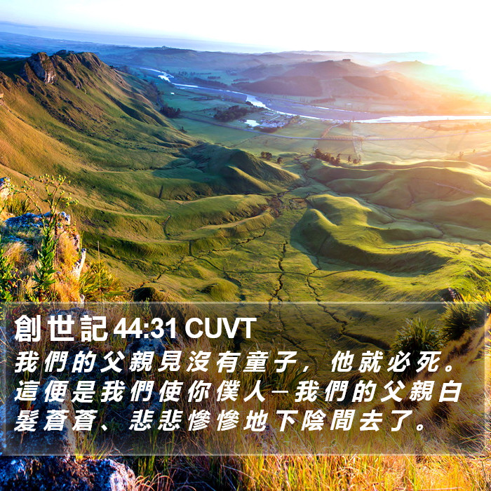 創 世 記 44:31 CUVT Bible Study