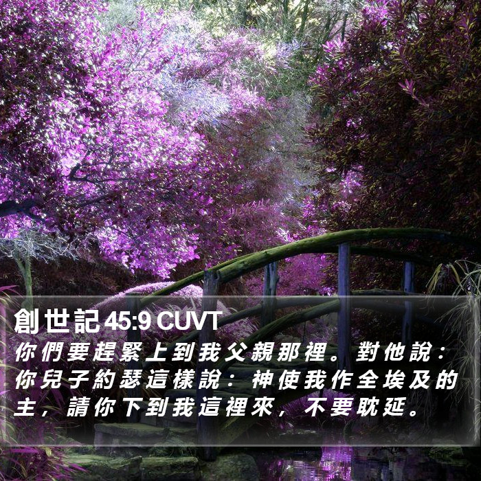 創 世 記 45:9 CUVT Bible Study