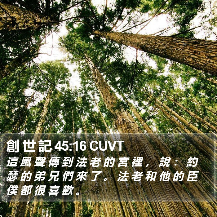 創 世 記 45:16 CUVT Bible Study