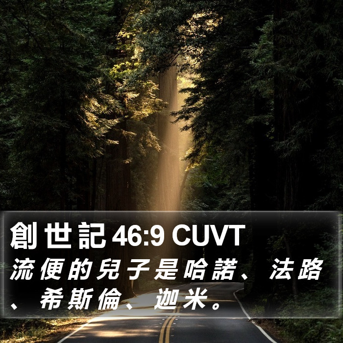 創 世 記 46:9 CUVT Bible Study