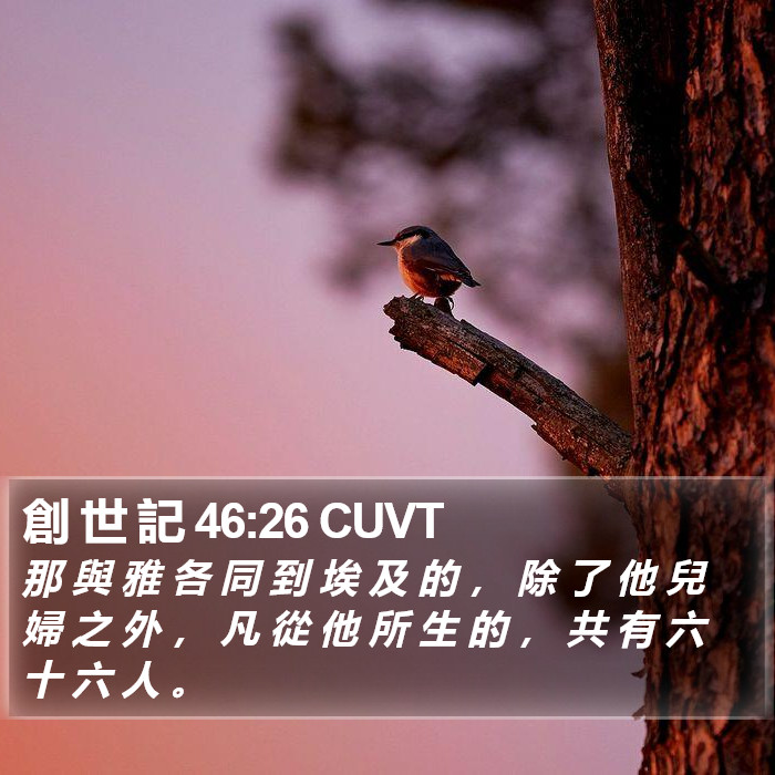 創 世 記 46:26 CUVT Bible Study