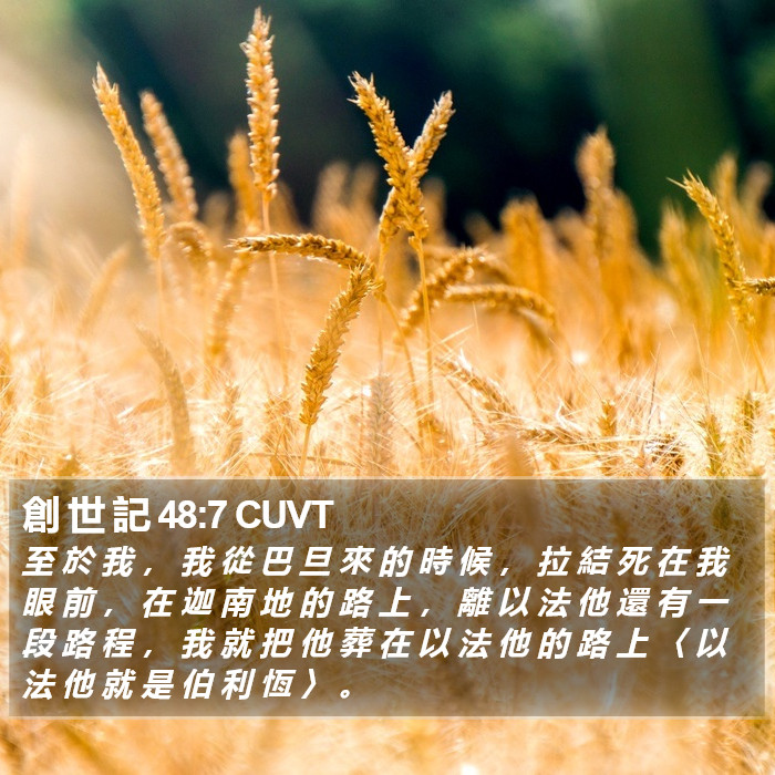 創 世 記 48:7 CUVT Bible Study