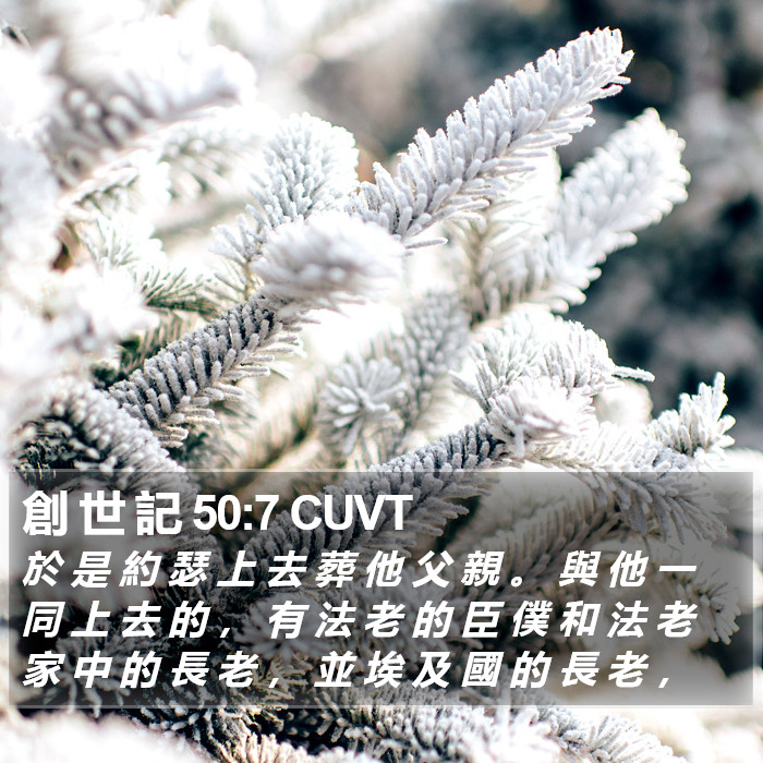 創 世 記 50:7 CUVT Bible Study