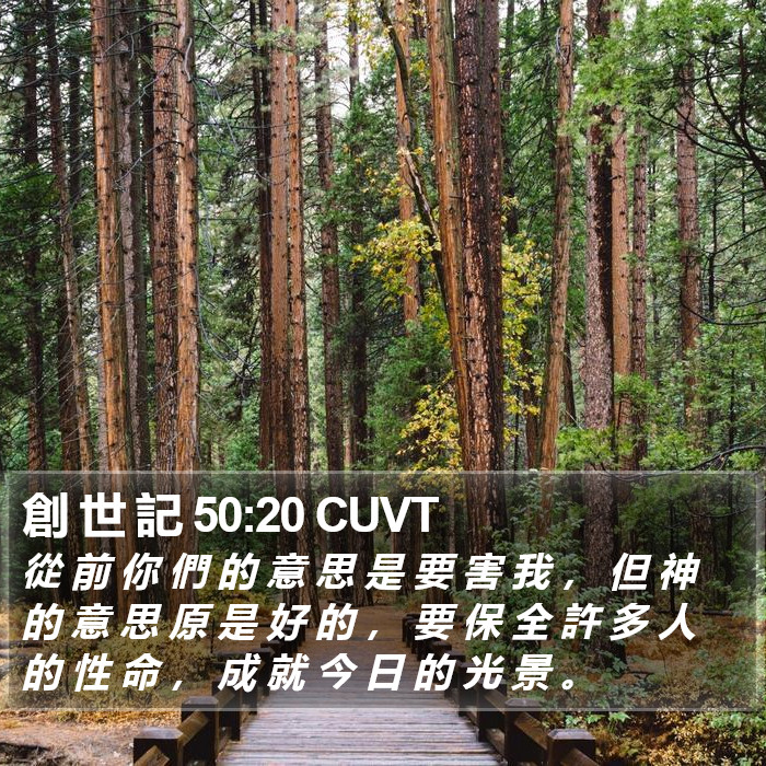 創 世 記 50:20 CUVT Bible Study