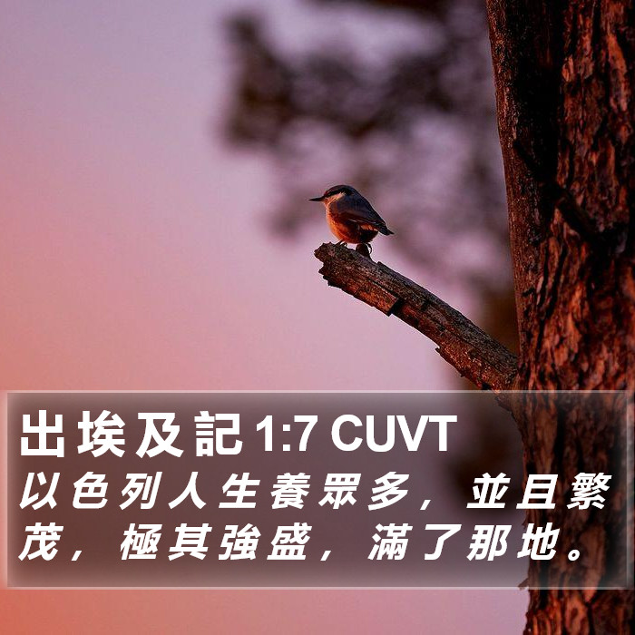 出 埃 及 記 1:7 CUVT Bible Study