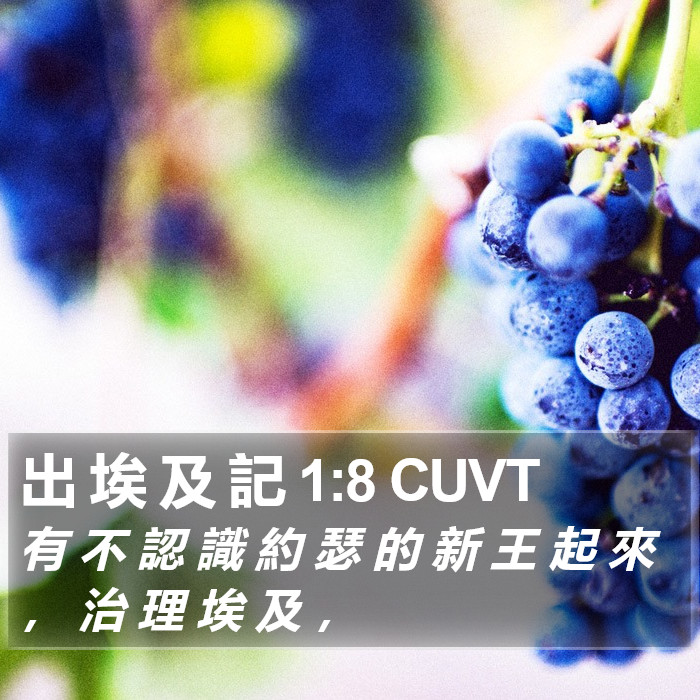 出 埃 及 記 1:8 CUVT Bible Study