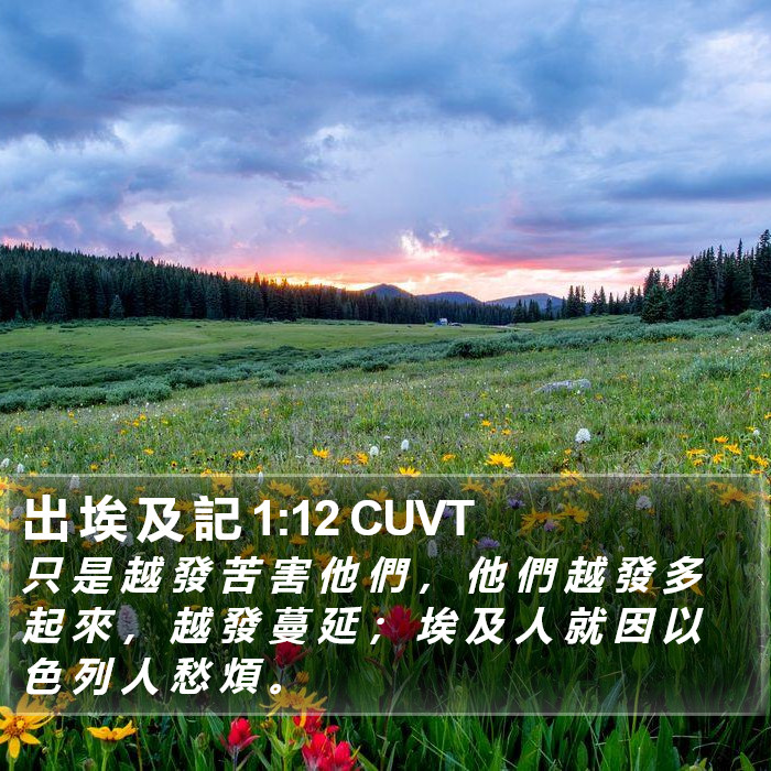 出 埃 及 記 1:12 CUVT Bible Study