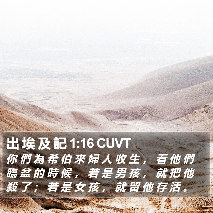 出 埃 及 記 1:16 CUVT Bible Study