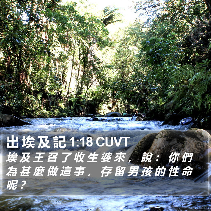 出 埃 及 記 1:18 CUVT Bible Study