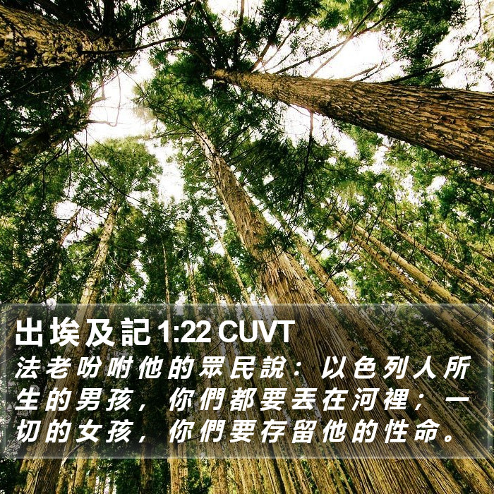 出 埃 及 記 1:22 CUVT Bible Study