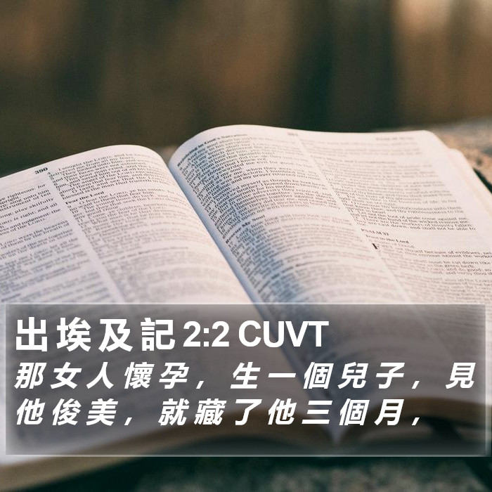 出 埃 及 記 2:2 CUVT Bible Study